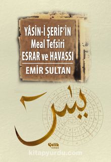 Yasini Şerif'in Meal Tefsir Esrar ve Havası kitap kapağı