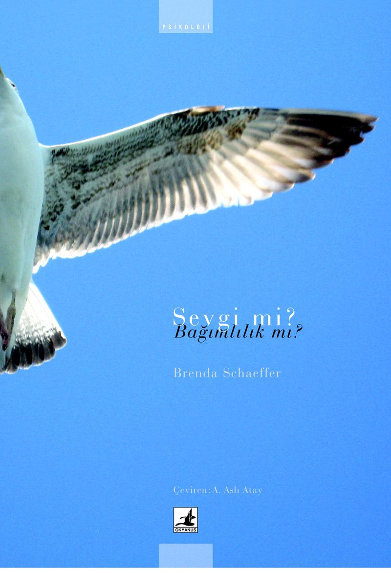 Sevgi Mi? Bağımlılık Mı? kitap kapağı