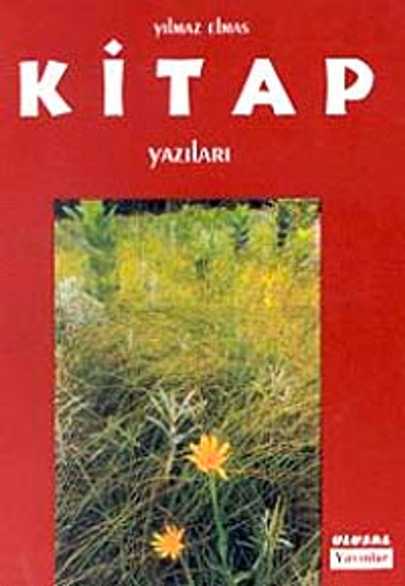 Kitap Yazıları kitap kapağı