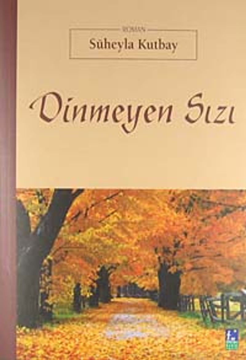 Dinmeyen Sızı kitap kapağı