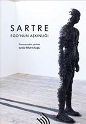 Ego nun Aşkınlığı kitap kapağı