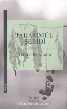 Tahammül Şeridi kitap kapağı