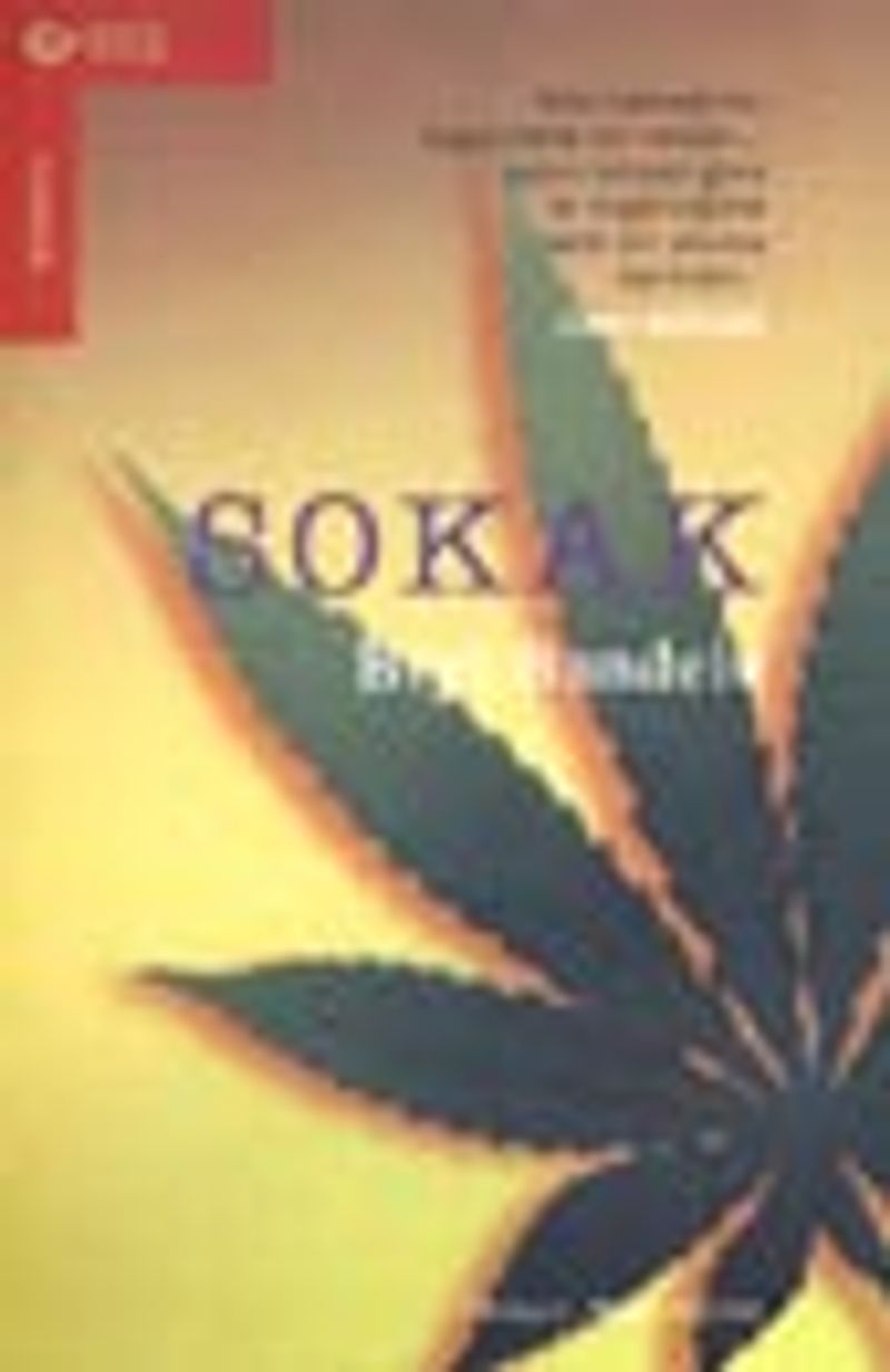 Sokak kitap kapağı