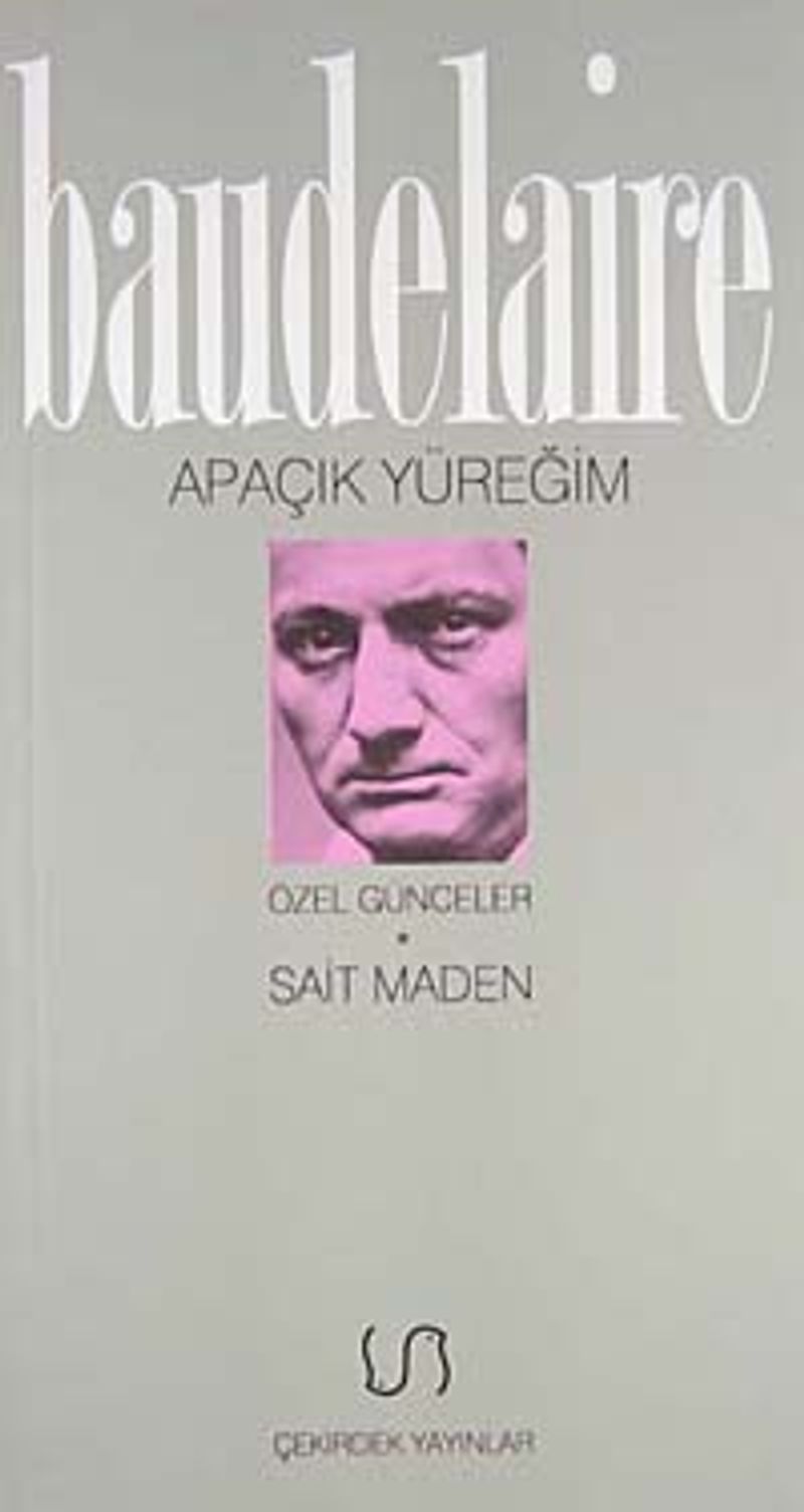 Apaçık Yüreğim/Özel Günceler kitap kapağı