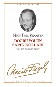 Doğru Yolun Sapık Kolları (kod48) kitap kapağı
