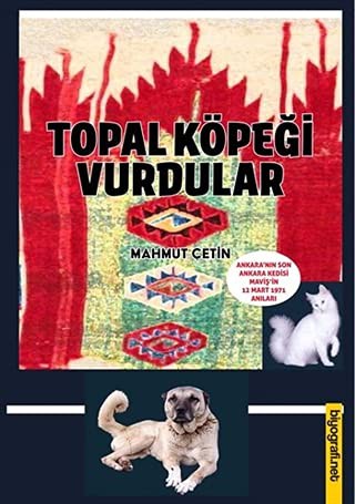 Topal Köpeği Vurdular kitap kapağı