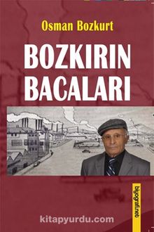 Bozkırın Bacaları kitap kapağı