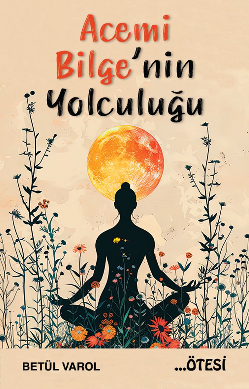 Acemi Bilge'nin Yolculuğu kitap kapağı