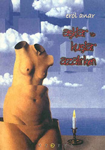 Aşklar ve Kuşlar Azalırken kitap kapağı