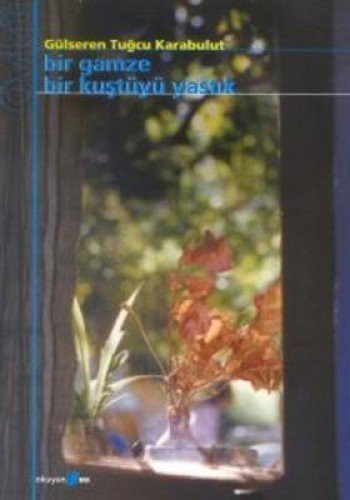 Bir Gamze Bir Kuştüyü Yastık kitap kapağı