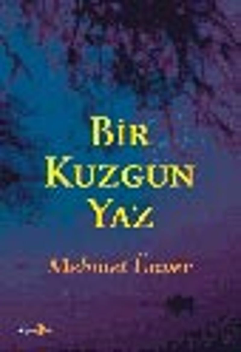 Bir Kuzgun Yaz kitap kapağı