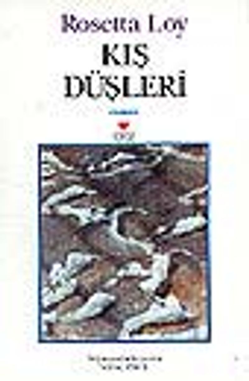Kış Düşleri kitap kapağı