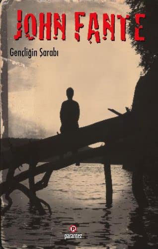 Gençliğin Şarabı kitap kapağı