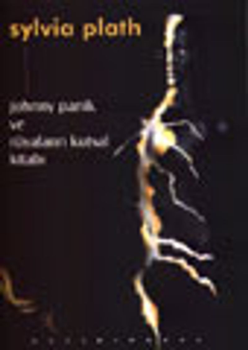 Jonny Panik ve Rüyaların Kutsal Kitabı kitap kapağı
