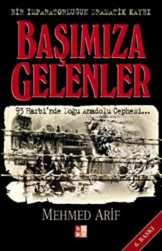 Başımıza Gelenler kitap kapağı
