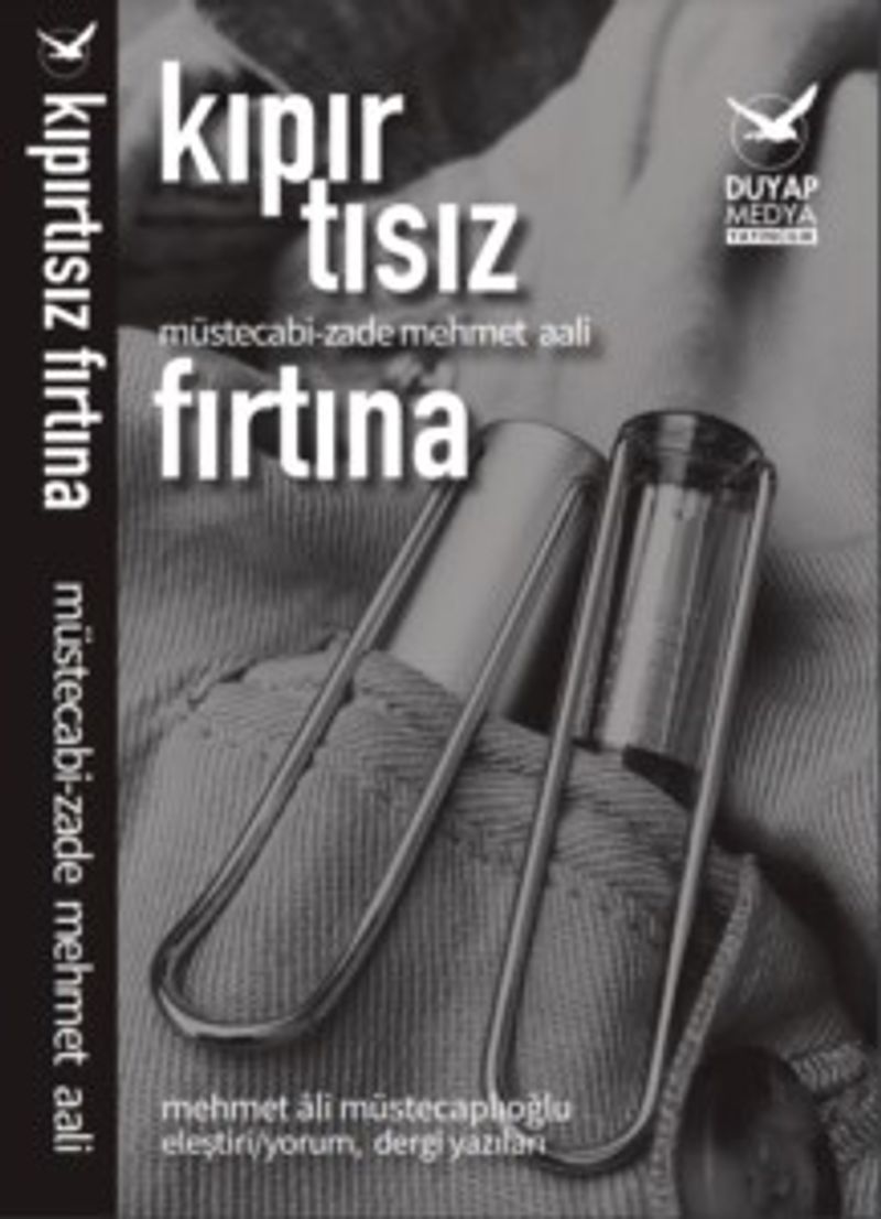 Kıpırtısız Fırtına kitap kapağı