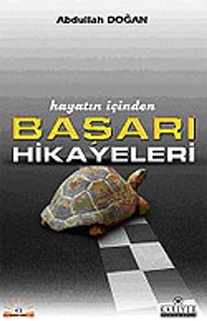 Hayatın içinden Başarı Hikayeri kitap kapağı