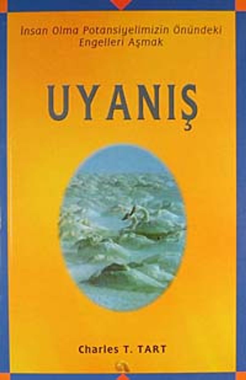 Uyanış kitap kapağı