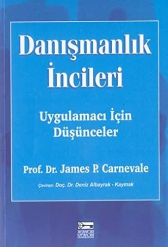 Danışmanlık İncileri kitap kapağı