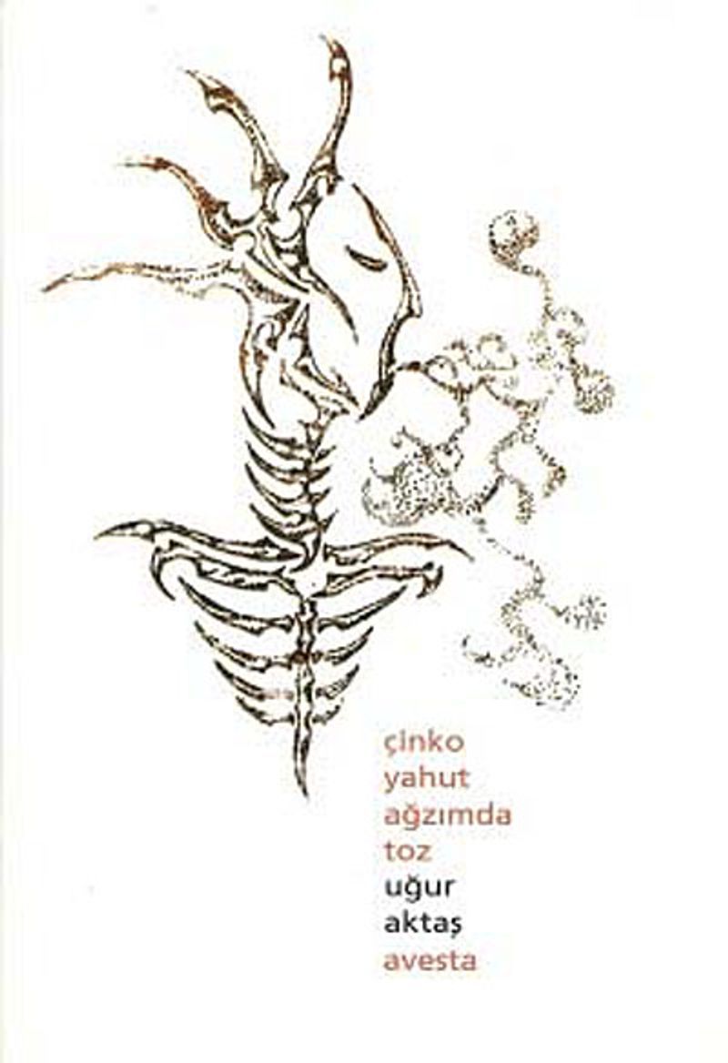 Çinko Yahut Ağzımda Toz kitap kapağı
