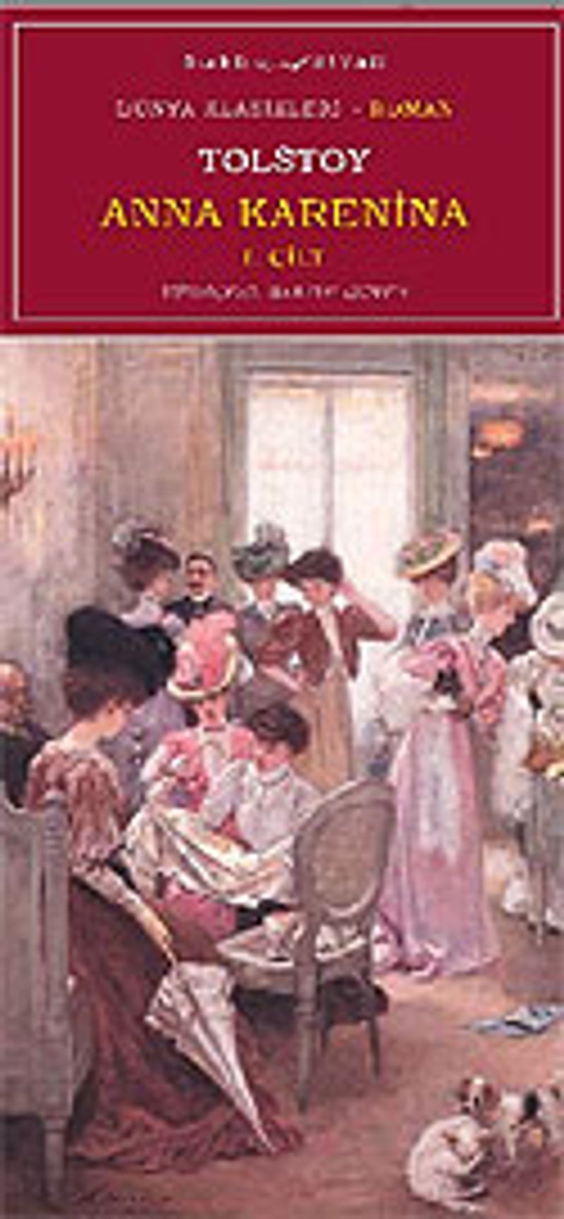 Anna Karenina / Cilt 1 kitap kapağı