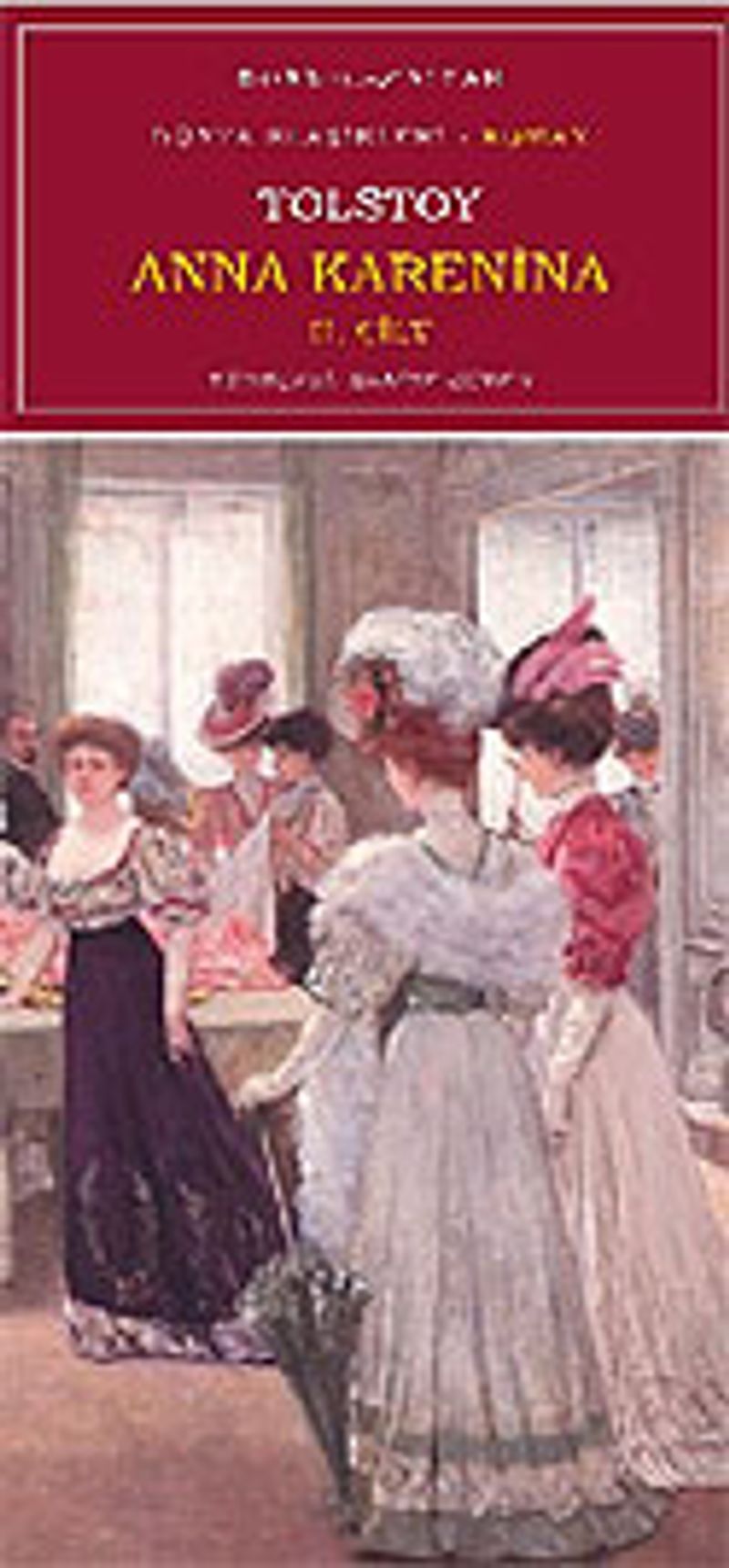 Anna Karenina / Cilt 2 kitap kapağı