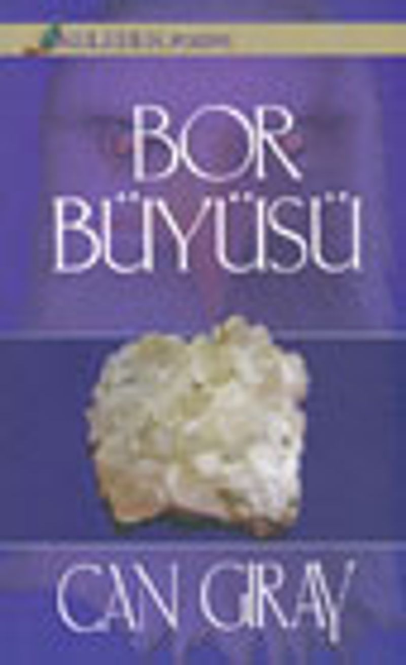 Bor Büyüsü kitap kapağı