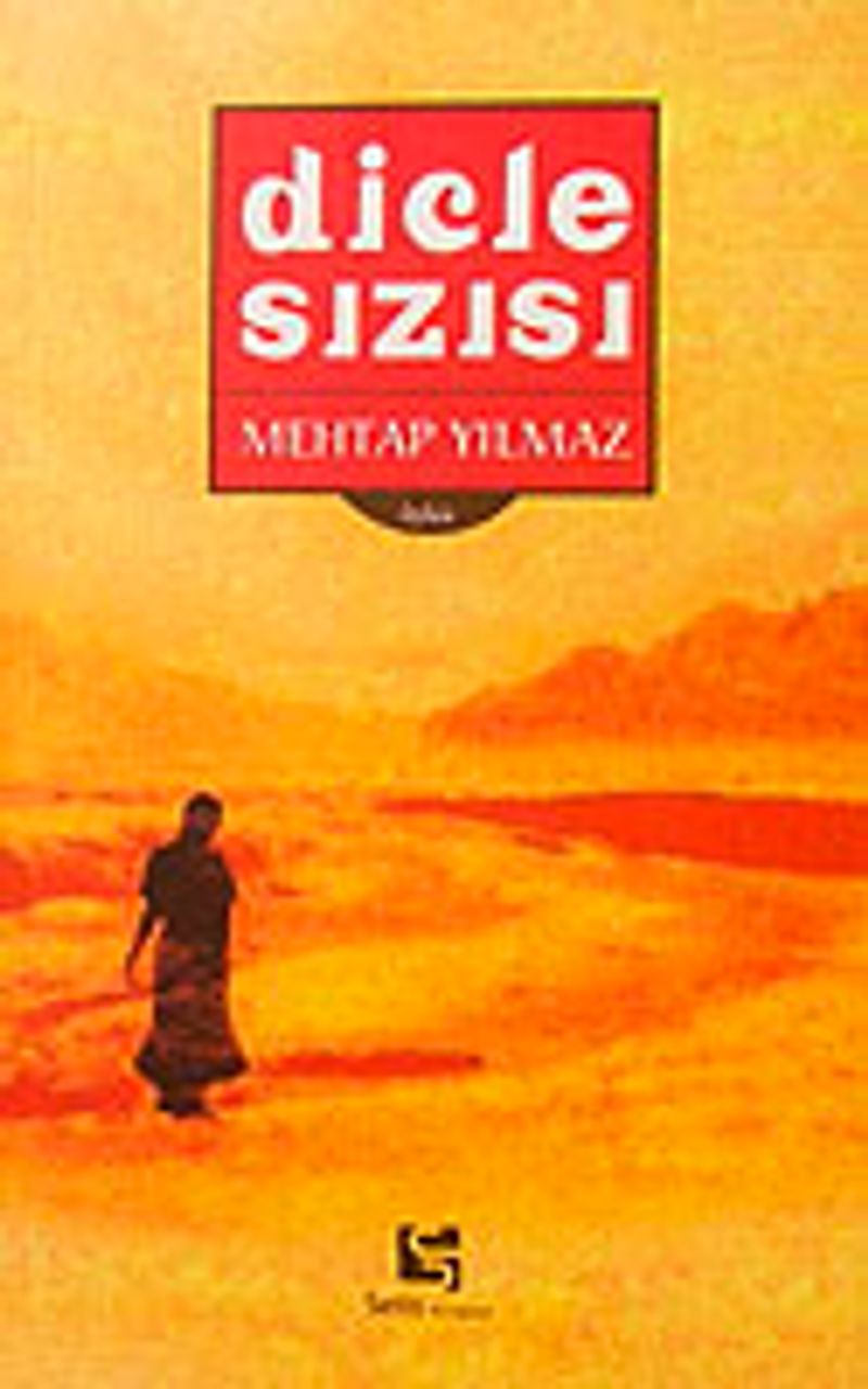Dicle Sızısı kitap kapağı