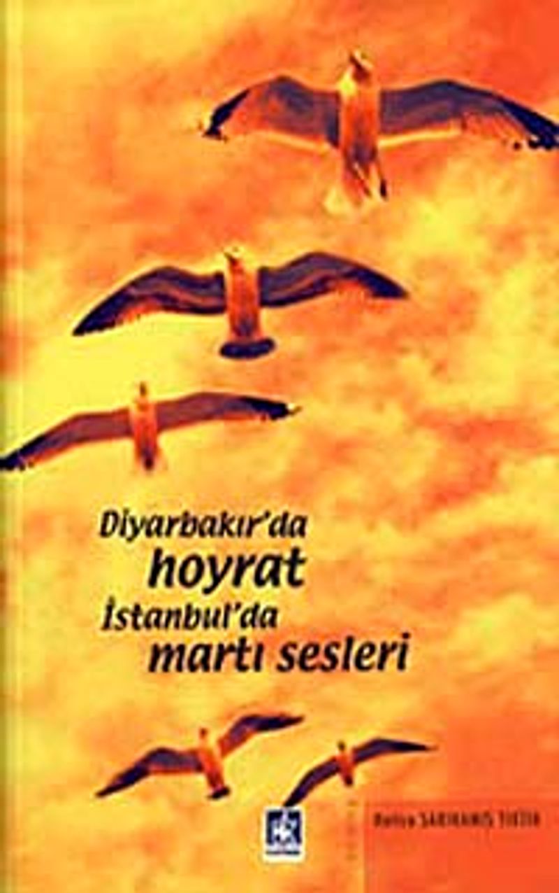 Diyarbakır'da Hoyrat İstanbul'da Martı Sesleri kitap kapağı