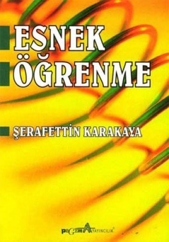 Esnek Öğrenme kitap kapağı