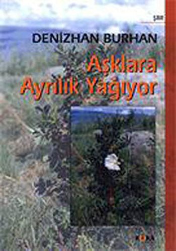 Aşklara Ayrılık Yağıyor kitap kapağı