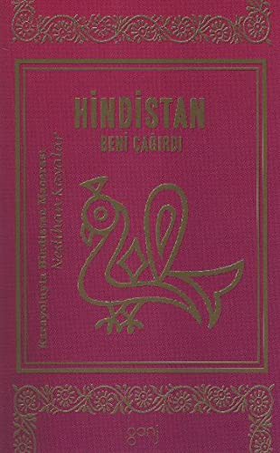 Hindistan Beni Çağırdı kitap kapağı