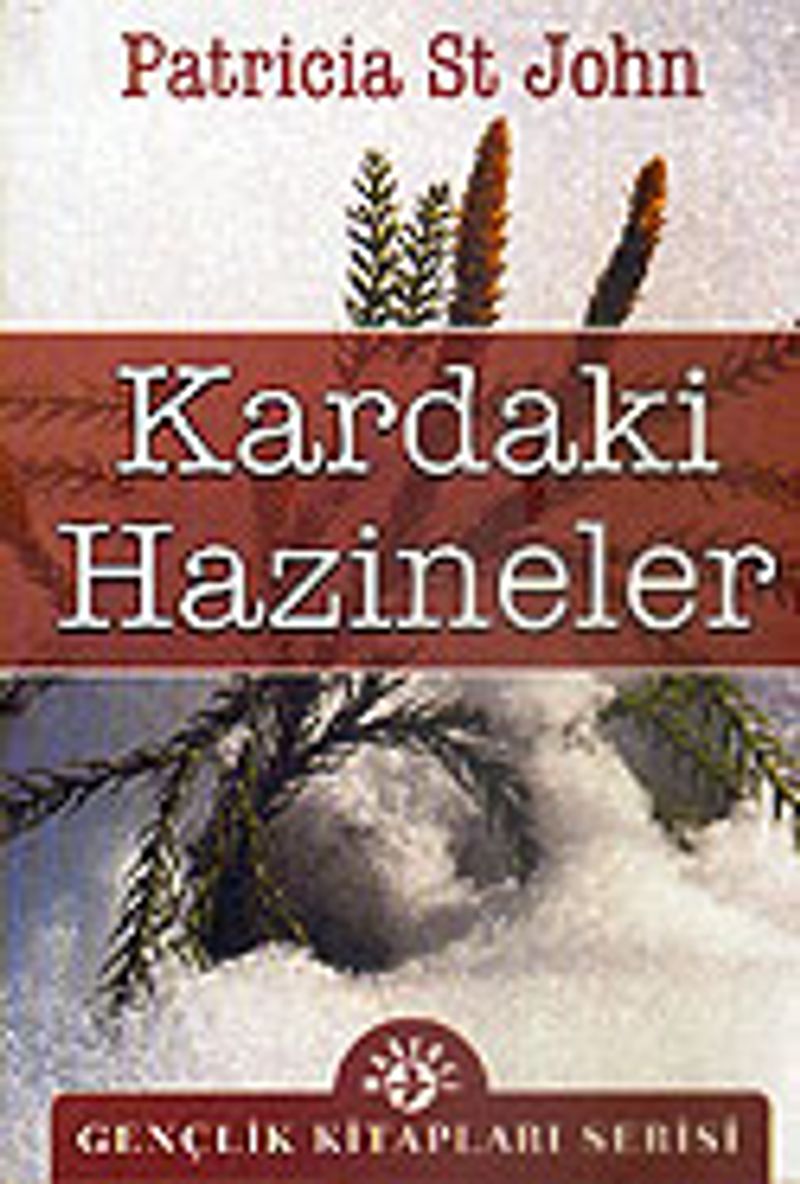 Kardaki Hazineler kitap kapağı