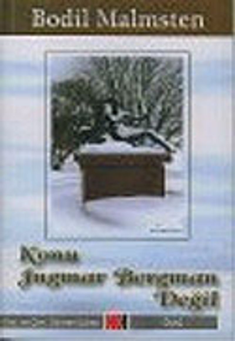 Konu Ingmar Bergman Değil kitap kapağı