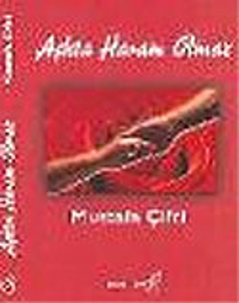 Aşkta Haram Olmaz kitap kapağı