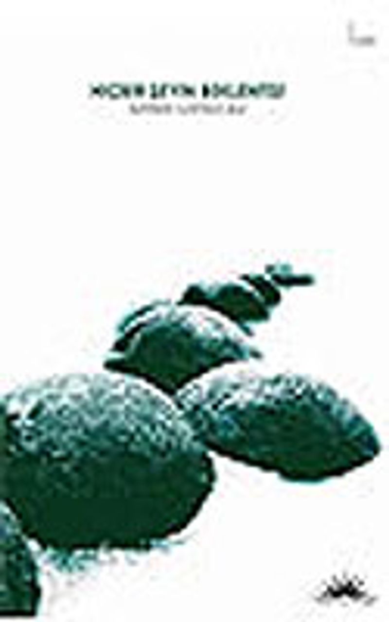 Hiçbir Şeyin Beklentisi kitap kapağı