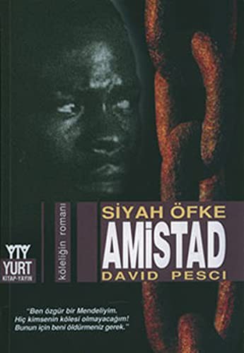 Amistad / Siyah Öfke kitap kapağı