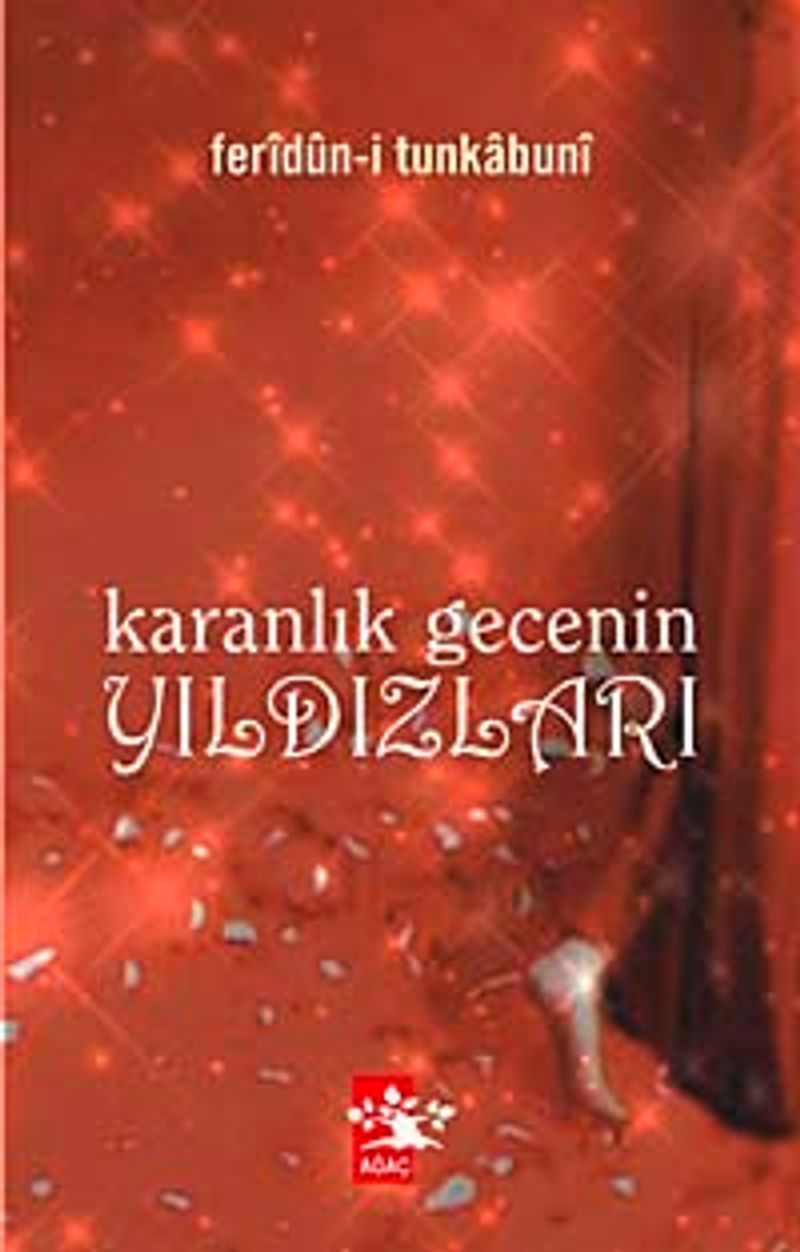 Karanlık Gecenin Yıldızları kitap kapağı