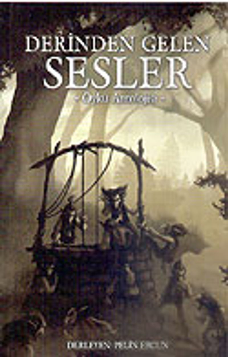 Derinden Gelen Sesler/Öykü Antolojisi kitap kapağı