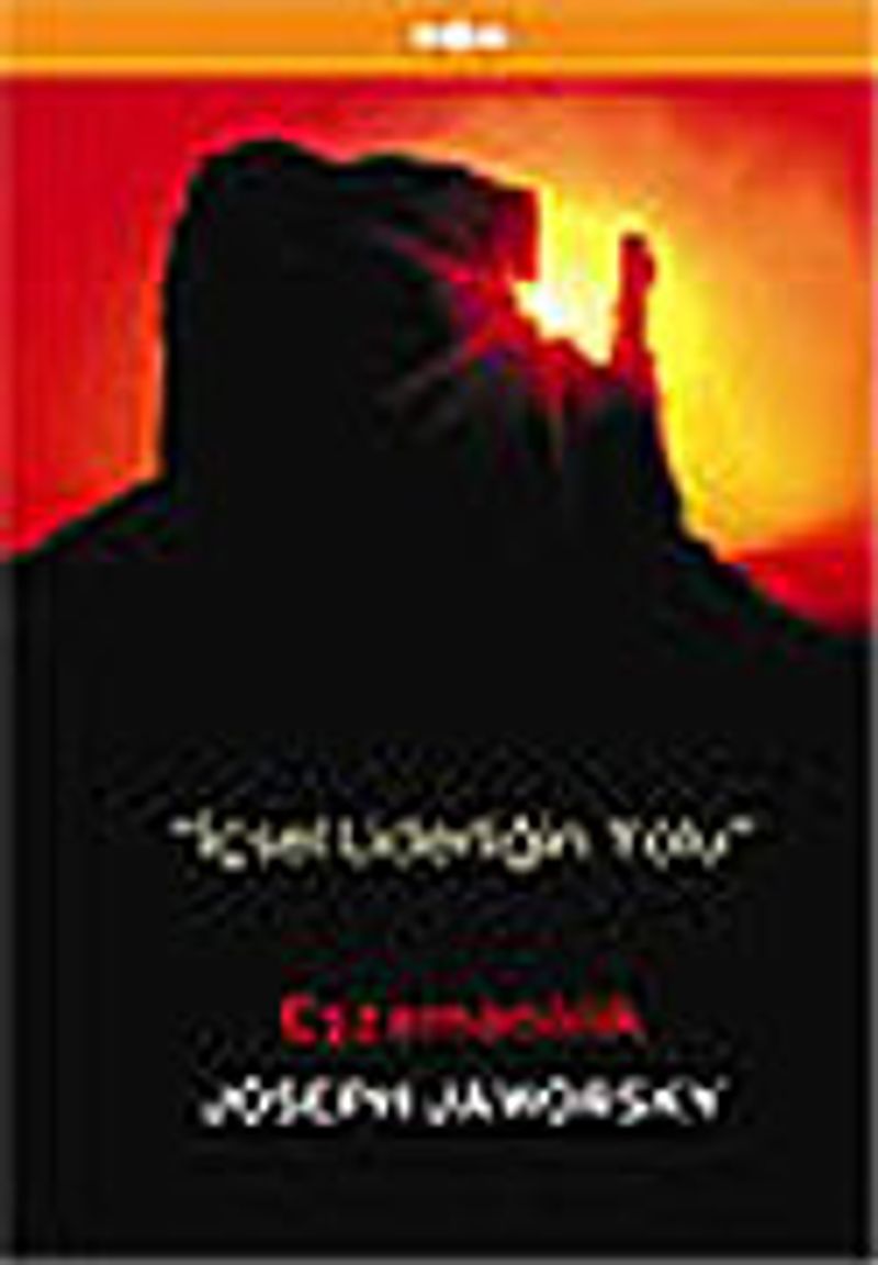 Eşzamanlılık / İçsel Liderliğin Sonu kitap kapağı