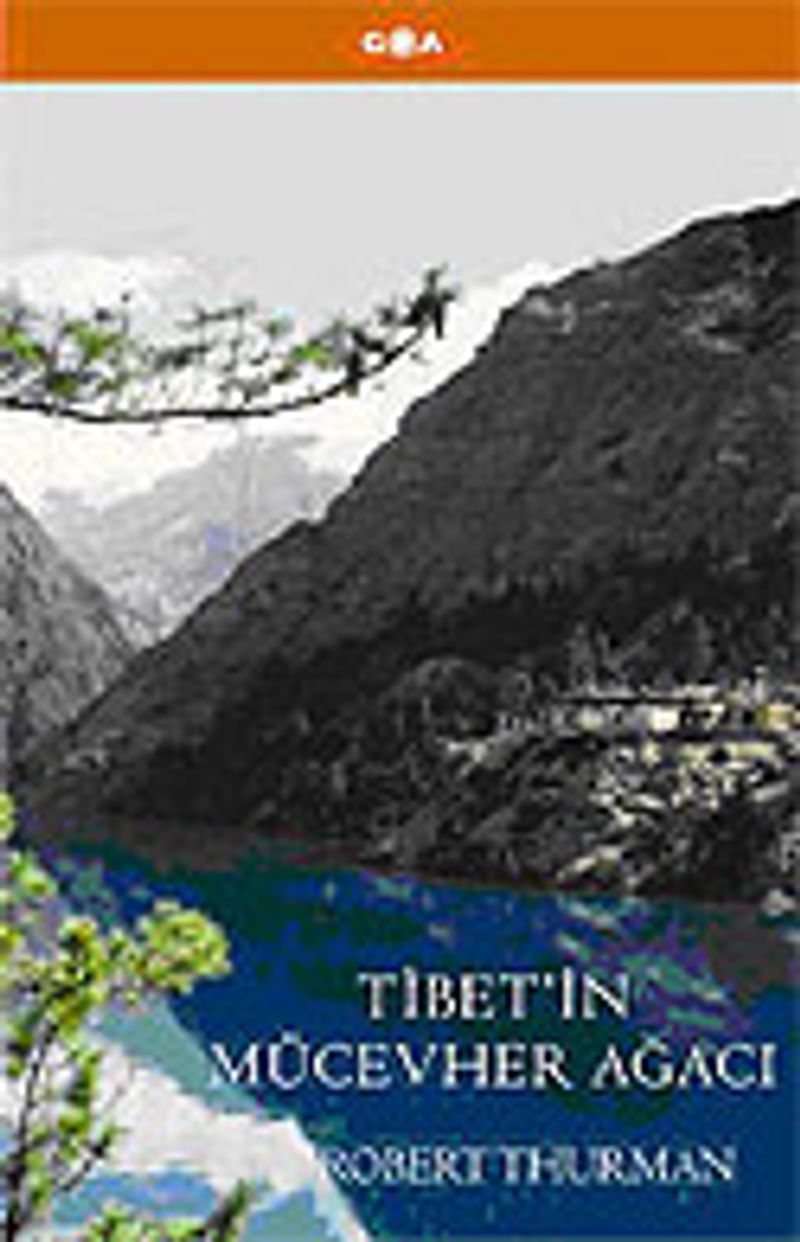 Tibet'in Mücevher Ağacı kitap kapağı