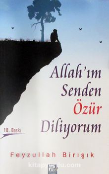 Allah'ım Senden Özür Diliyorum kitap kapağı