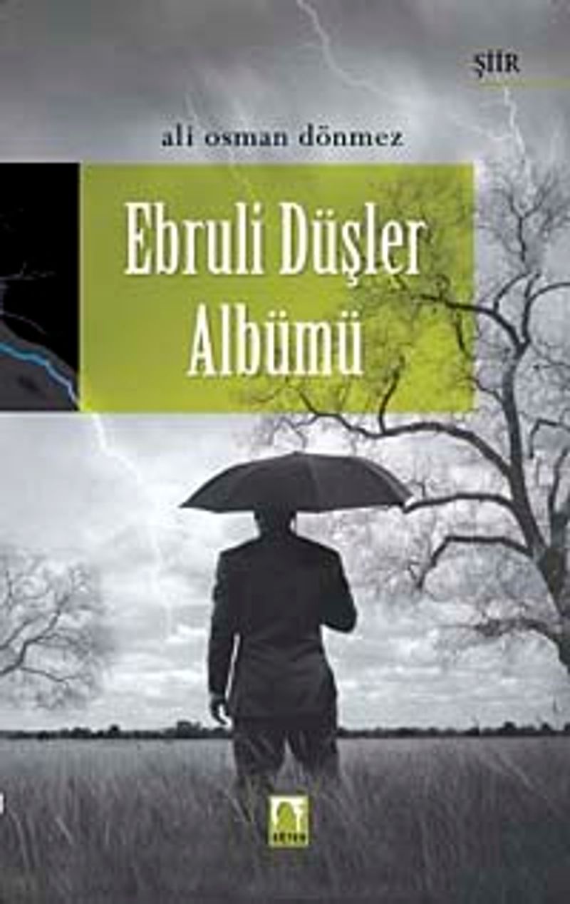 Ebruli Düşler Albümü kitap kapağı