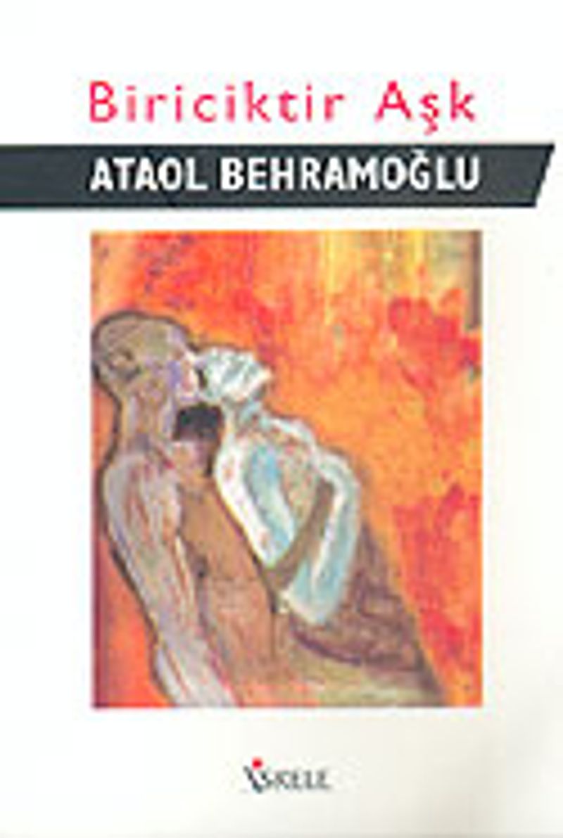 Biriciktir Aşk kitap kapağı