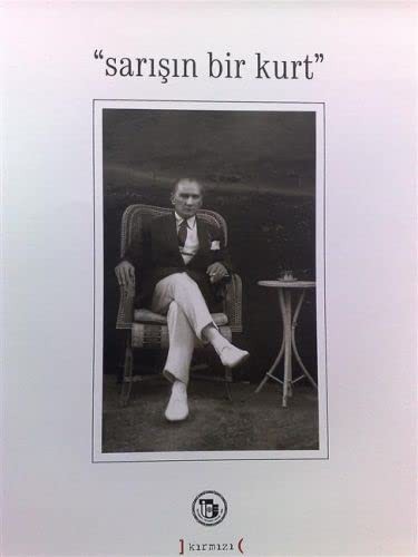 Sarışın Bir Kurt kitap kapağı
