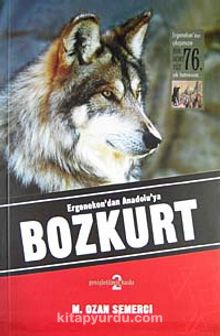 Ergenekon'dan Anadolu'ya Bozkurt kitap kapağı