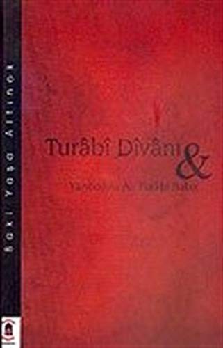 Turabi Divanı ve Yanbolulu Ali Turabi Baba kitap kapağı