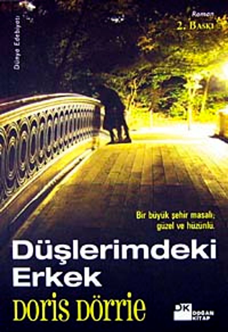 Düşlerimdeki Erkek kitap kapağı