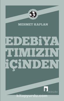 Edebiyatımızın İçinden kitap kapağı