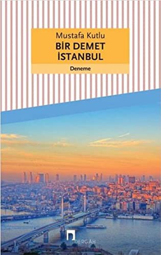 Bir Demet İstanbul kitap kapağı